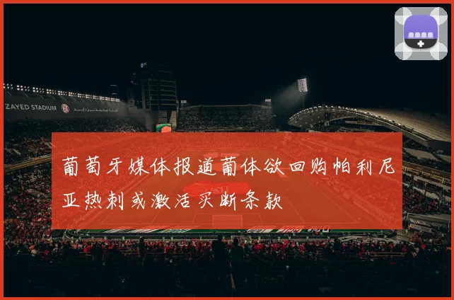 葡萄牙媒体报道葡体欲回购帕利尼亚热刺或激活买断条款